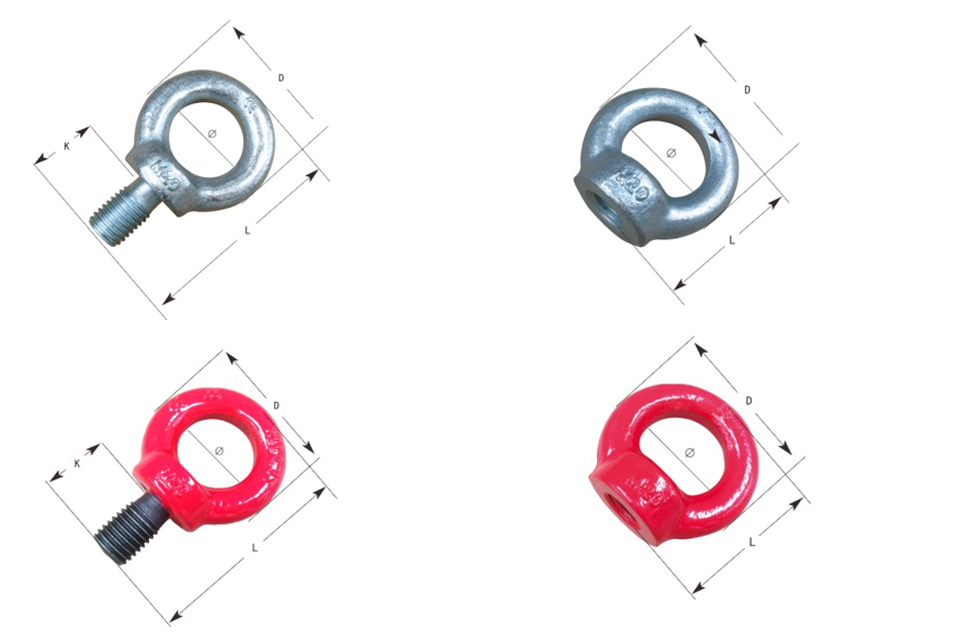 galvanized ring screw