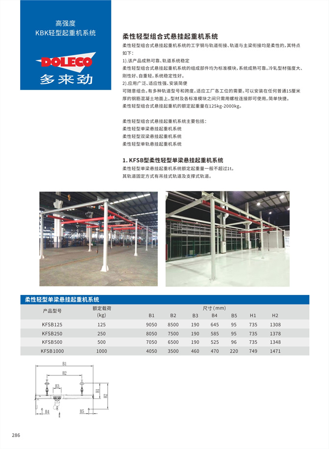 Flexible Single/Double beam Suspension Cranes